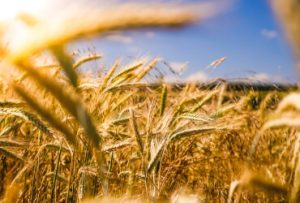 unsplash li9jfuhqfoy