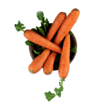2e71aa00 carrot 2.png